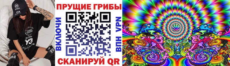 Галлюциногенные грибы ЛСД  маркетплейс телеграм  Суоярви 